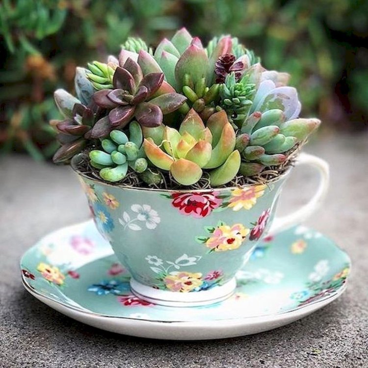 The Fascinating Cup Plant: A Triumph of Nature's Design