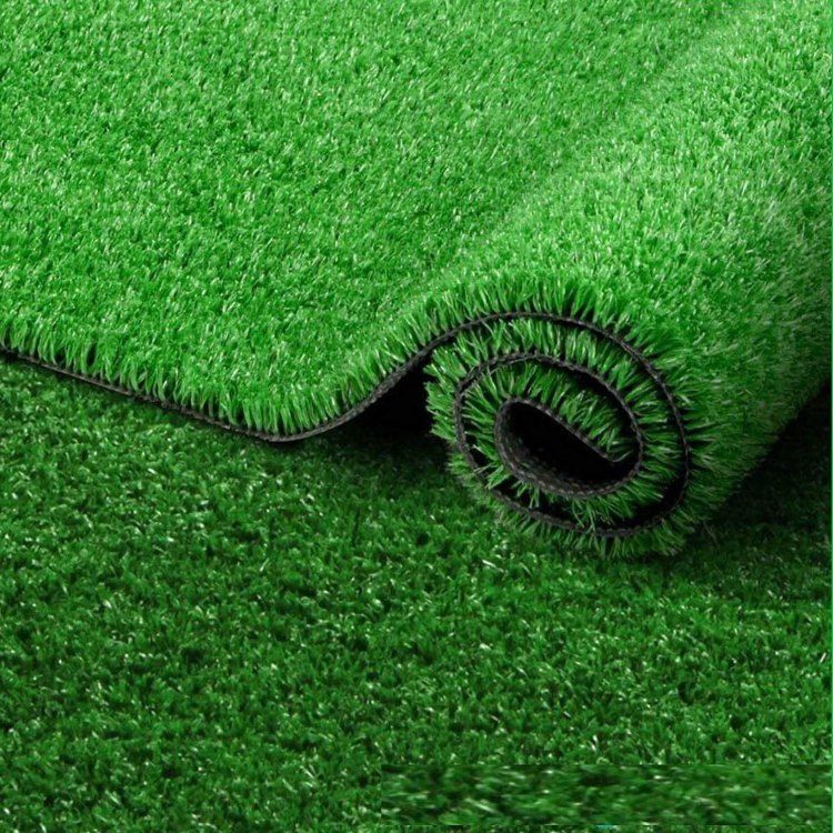 Discover the Lush Beauty of Carpet Grass: Everything You Need to Know