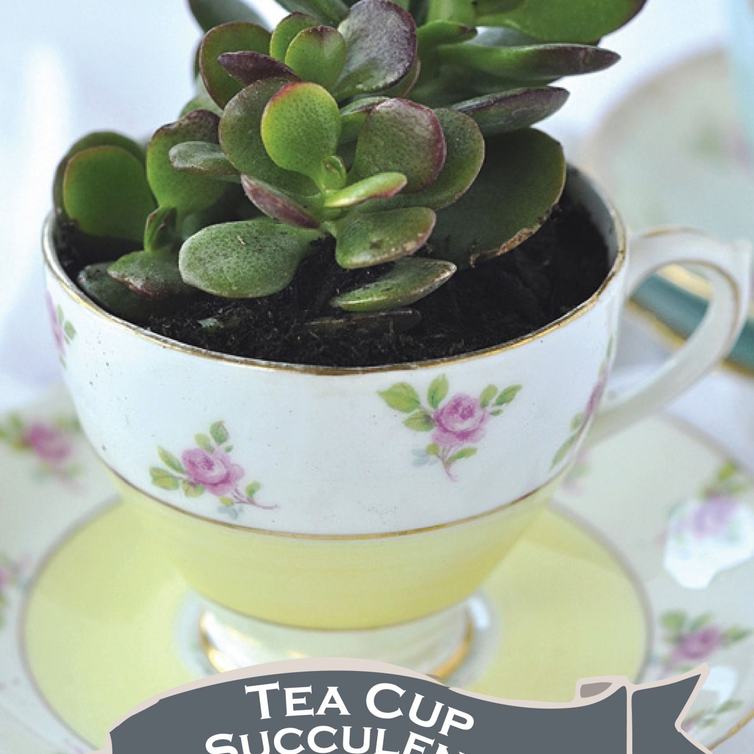 Cup Plant